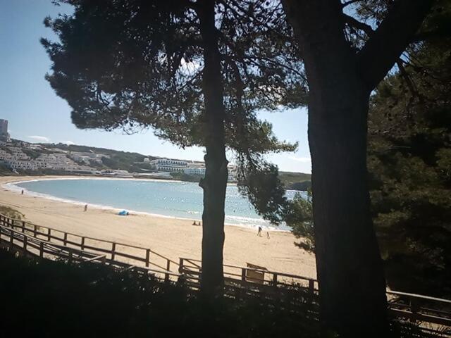 Castellsol Arenal Home Beach Punta Grossa Rum bild