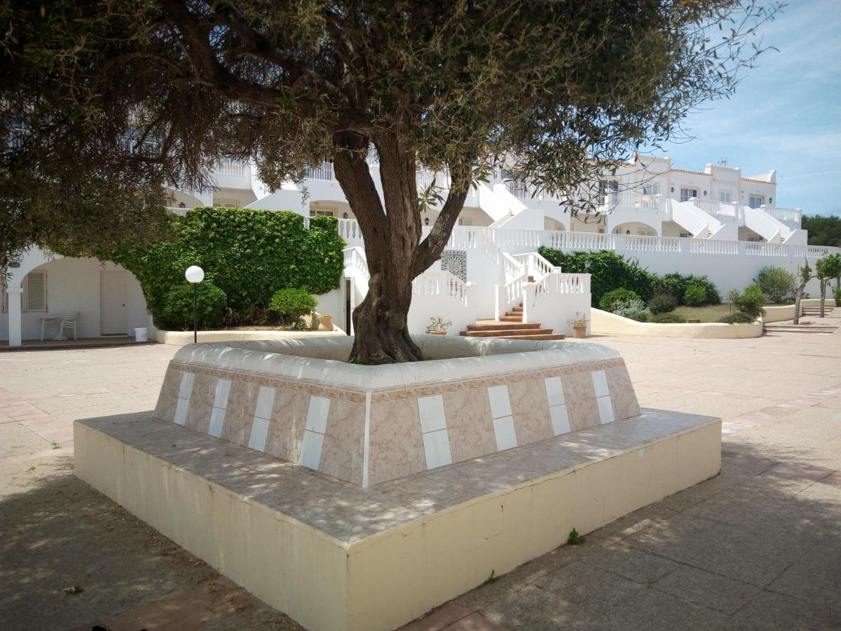 Castellsol Arenal Home Beach Punta Grossa Rum bild