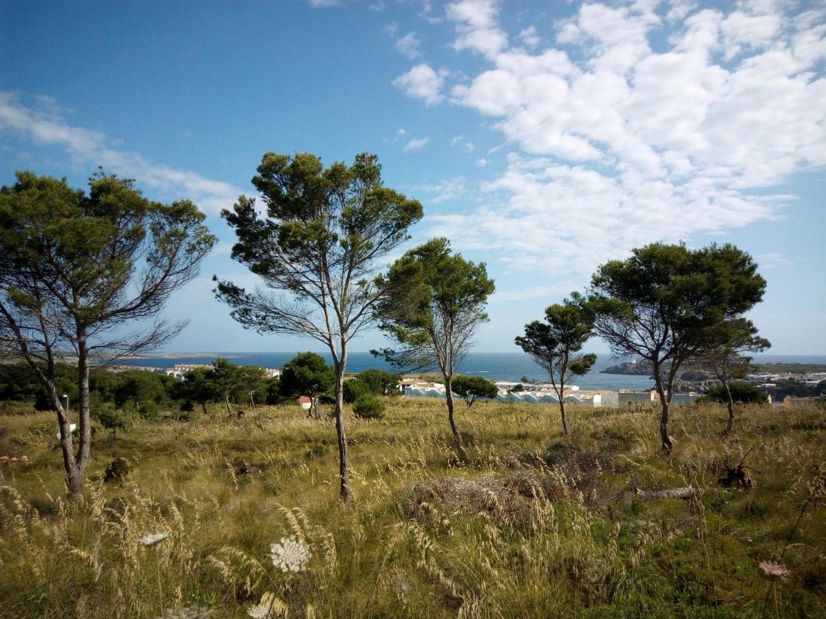 Castellsol Arenal Home Beach Punta Grossa Exteriör bild
